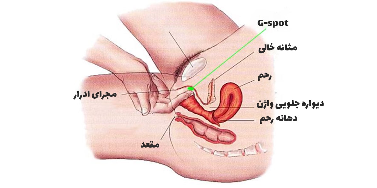 نقطه جی کجاست